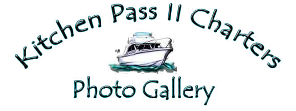 Photo Gallery